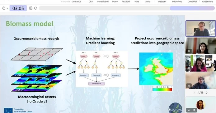 Instagram post from icultureproject. This post is in position 7.