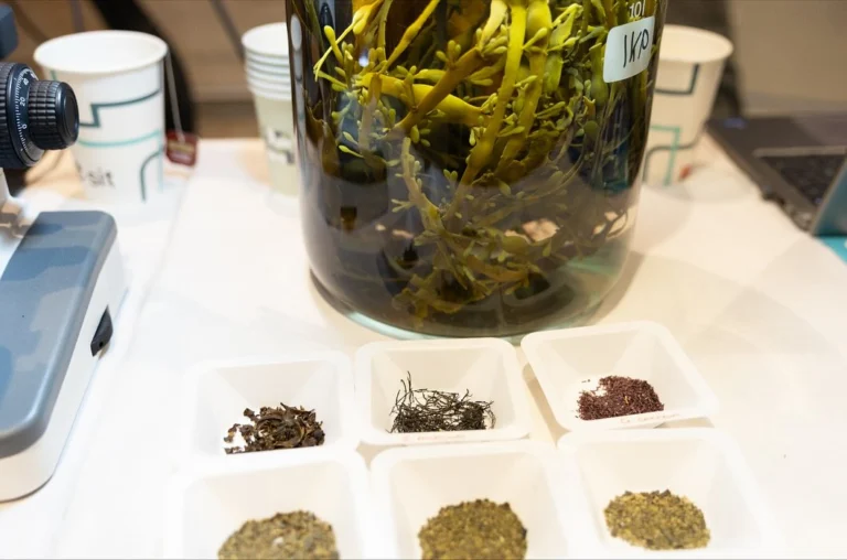 Instagram post from icultureproject. This post is in position 2.