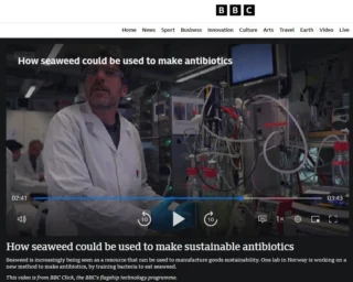 Instagram post from icultureproject. This post is in position 71.