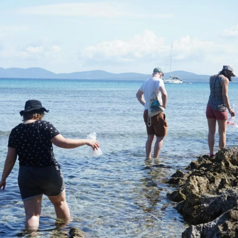 Instagram post from icultureproject. This post is in position 3.