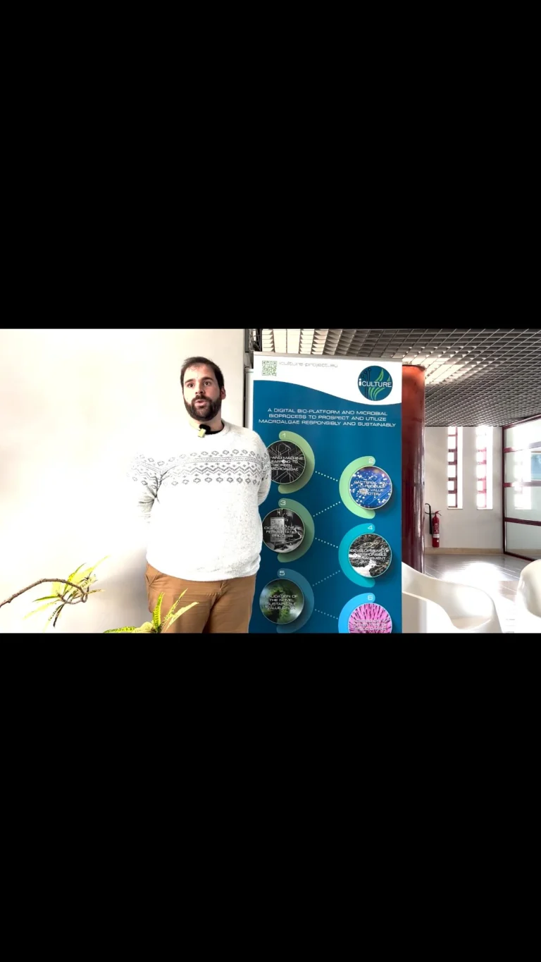 Instagram post from icultureproject. This post is in position 33.