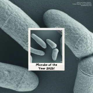 Instagram post from icultureproject. This post is in position 44.