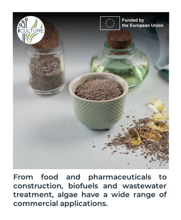 Instagram post from icultureproject. This post is in position 95.