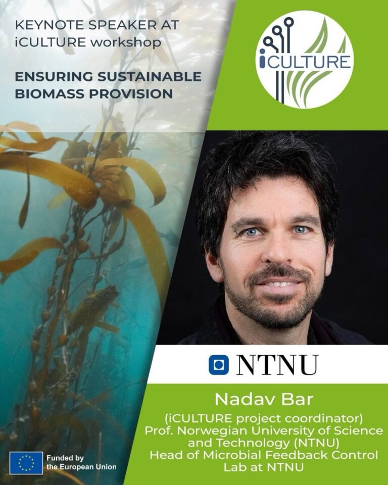 Instagram post from icultureproject. This post is in position 3.