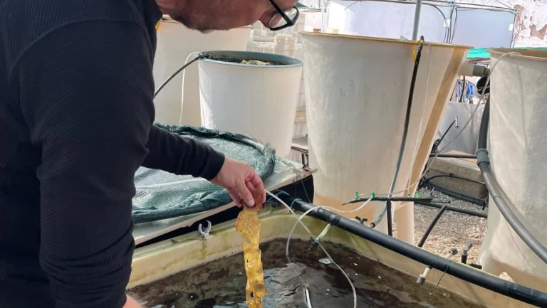 Instagram post from icultureproject. This post is in position 14.