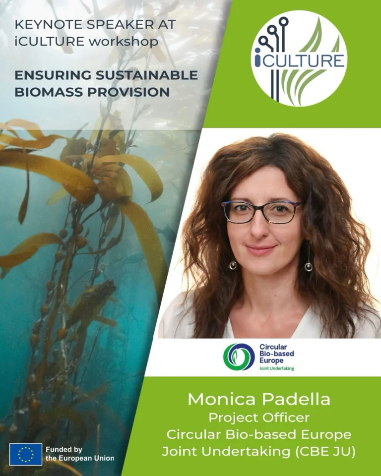 Instagram post from icultureproject. This post is in position 2.