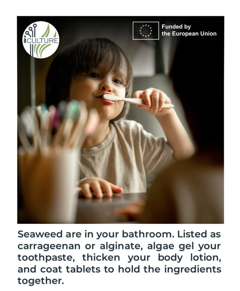 Instagram post from icultureproject. This post is in position 91.