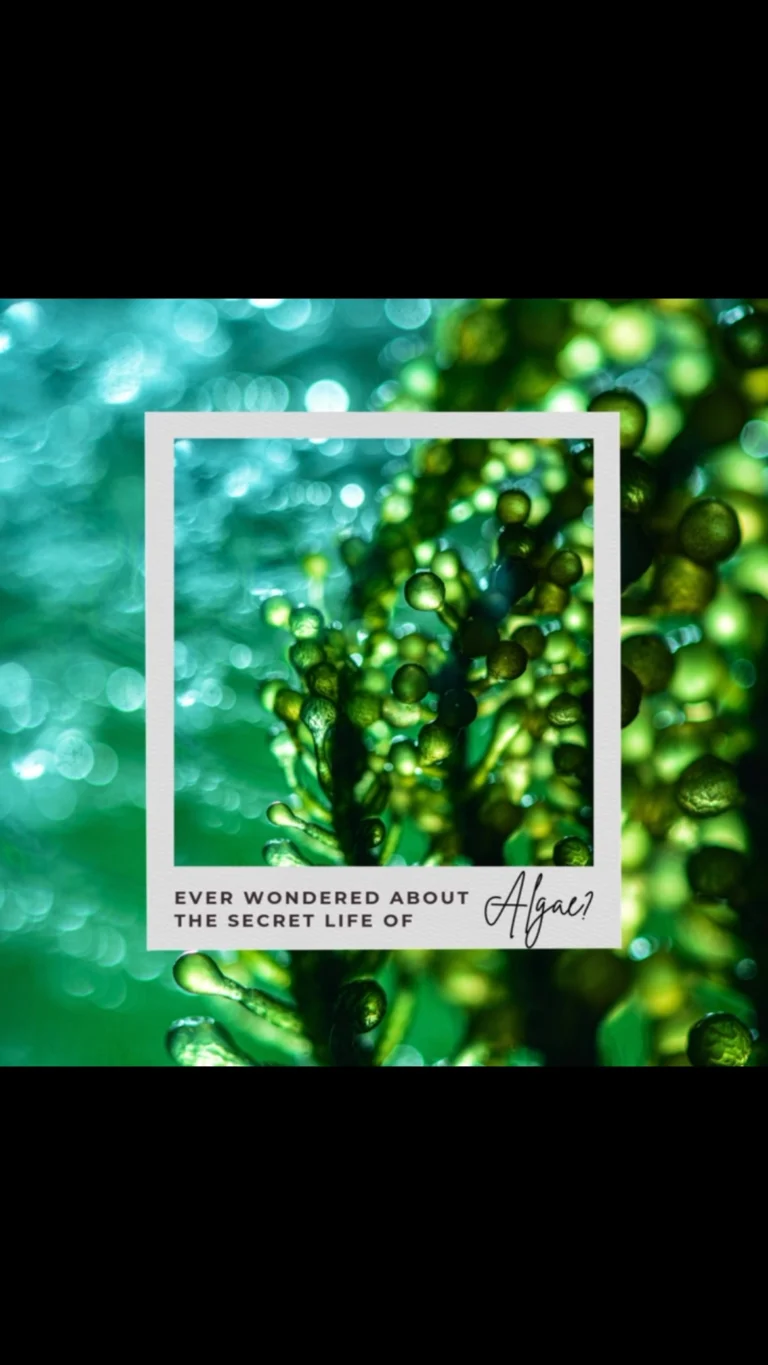 Instagram post from icultureproject. This post is in position 76.