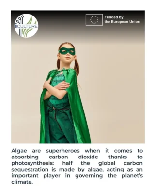 Instagram post from icultureproject. This post is in position 100.