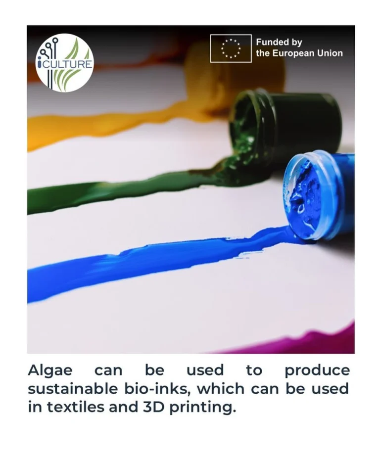 Instagram post from icultureproject. This post is in position 83.