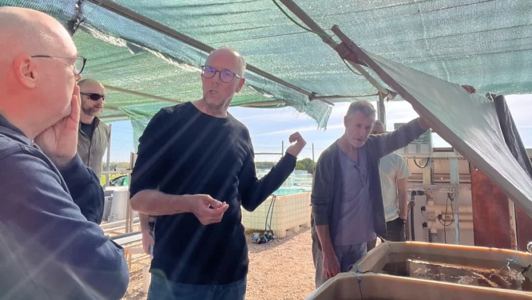 Instagram post from icultureproject. This post is in position 8.