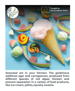 Instagram post from icultureproject. This post is in position 93.