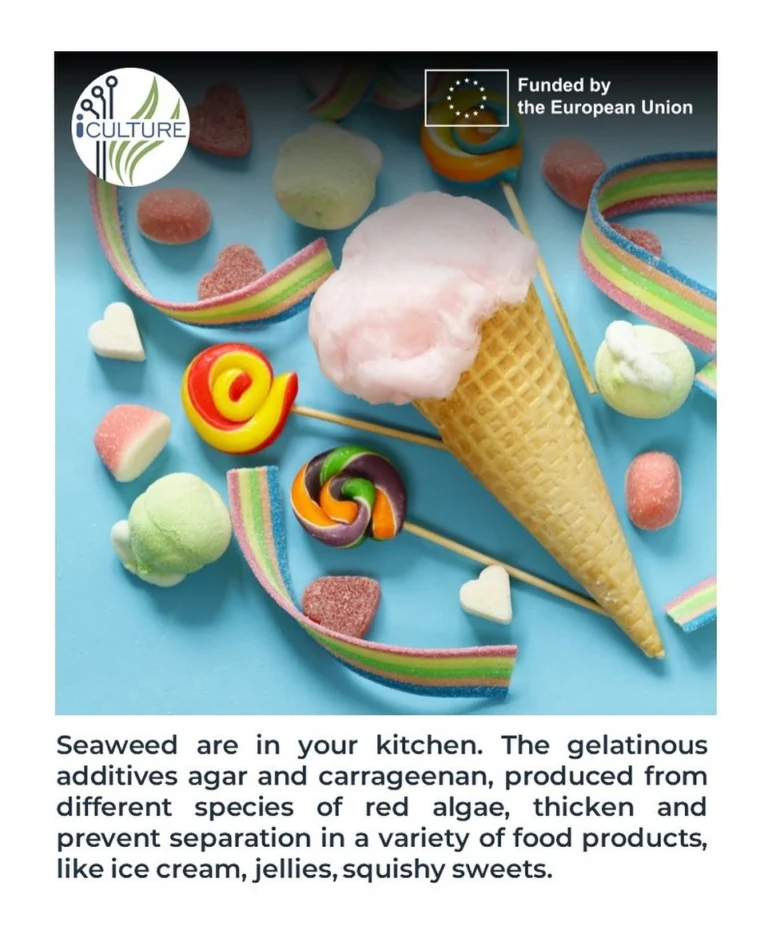 Instagram post from icultureproject. This post is in position 92.