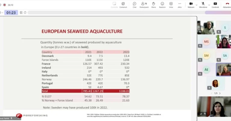 Instagram post from icultureproject. This post is in position 3.