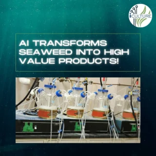 Instagram post from icultureproject. This post is in position 50.