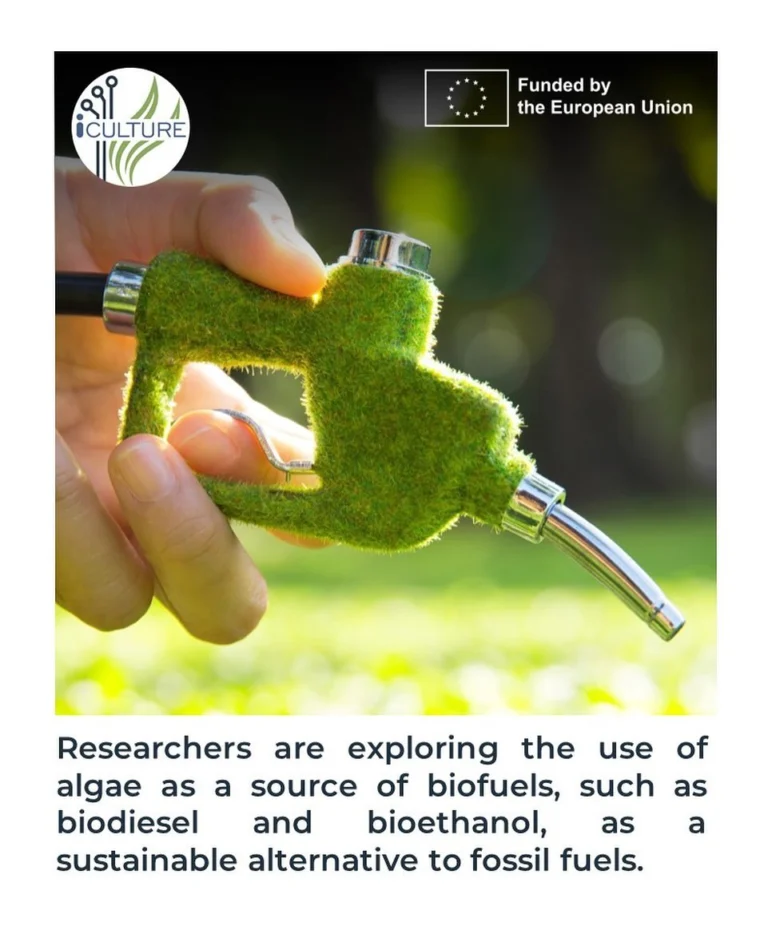 Instagram post from icultureproject. This post is in position 90.