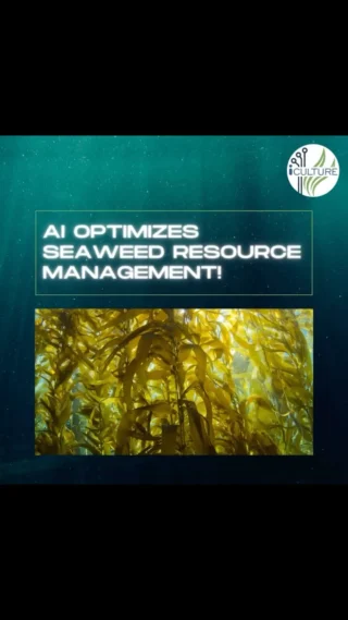 Instagram post from icultureproject. This post is in position 52.