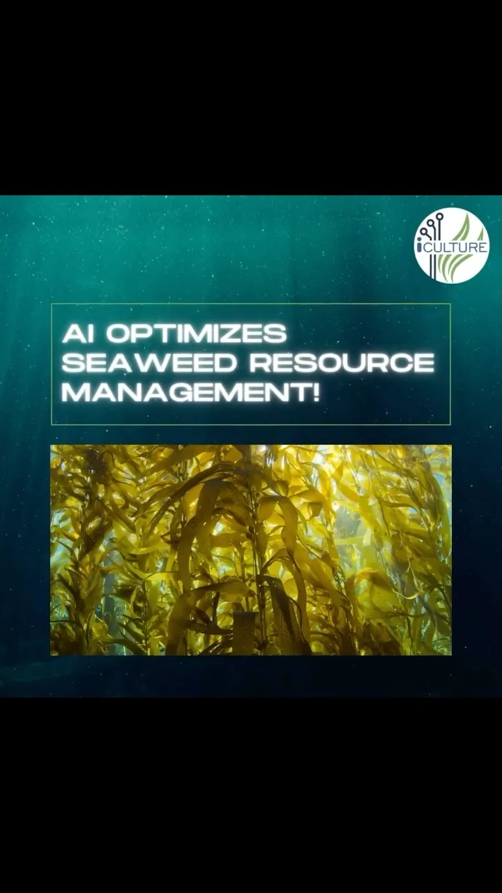 Instagram post from icultureproject. This post is in position 51.