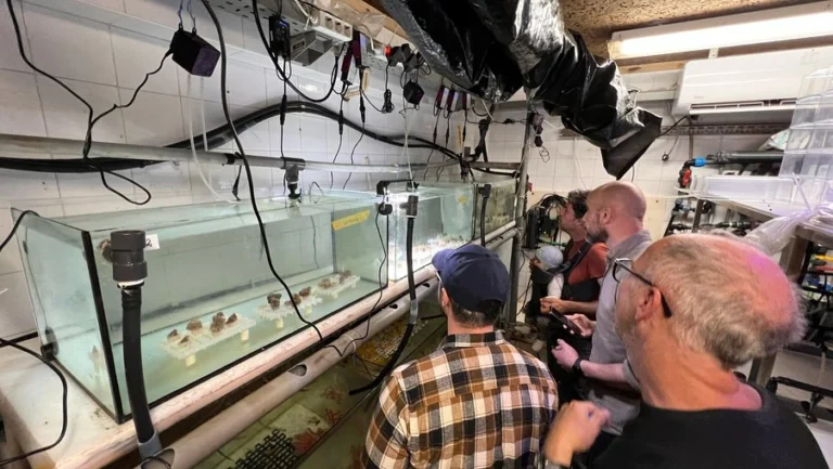 Instagram post from icultureproject. This post is in position 2.