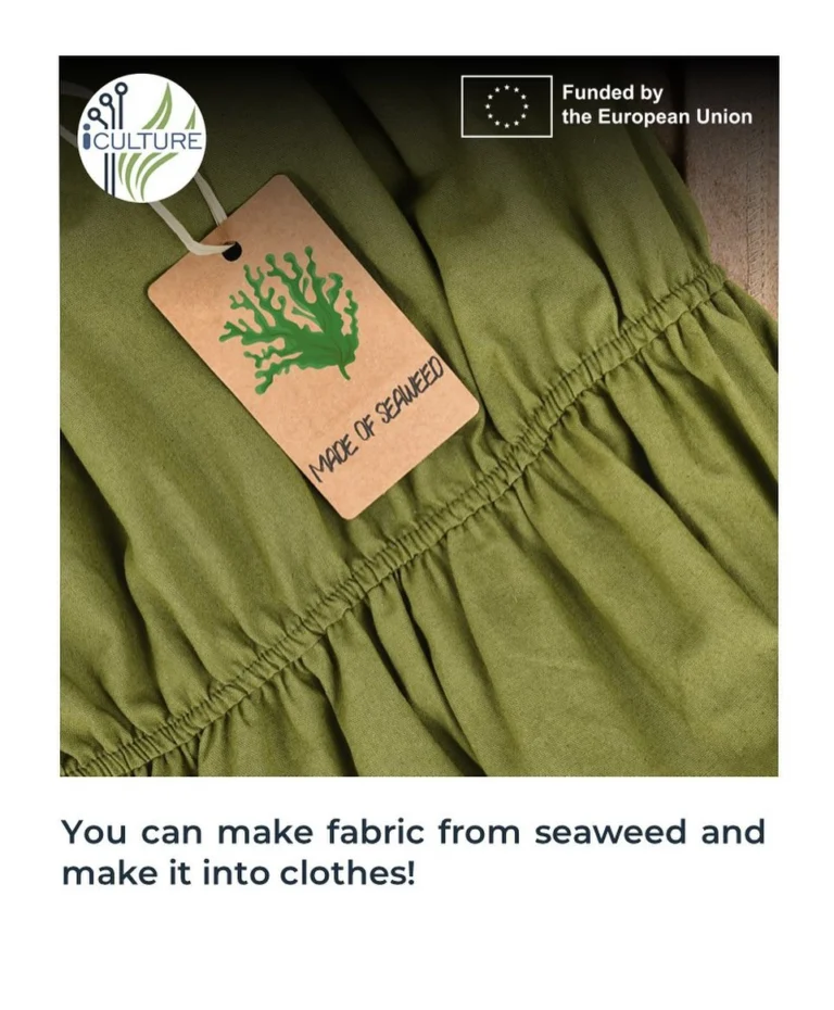 Instagram post from icultureproject. This post is in position 84.