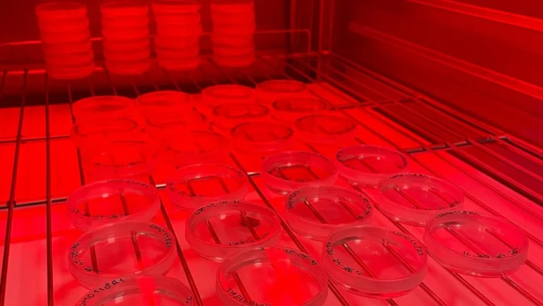 Instagram post from icultureproject. This post is in position 12.