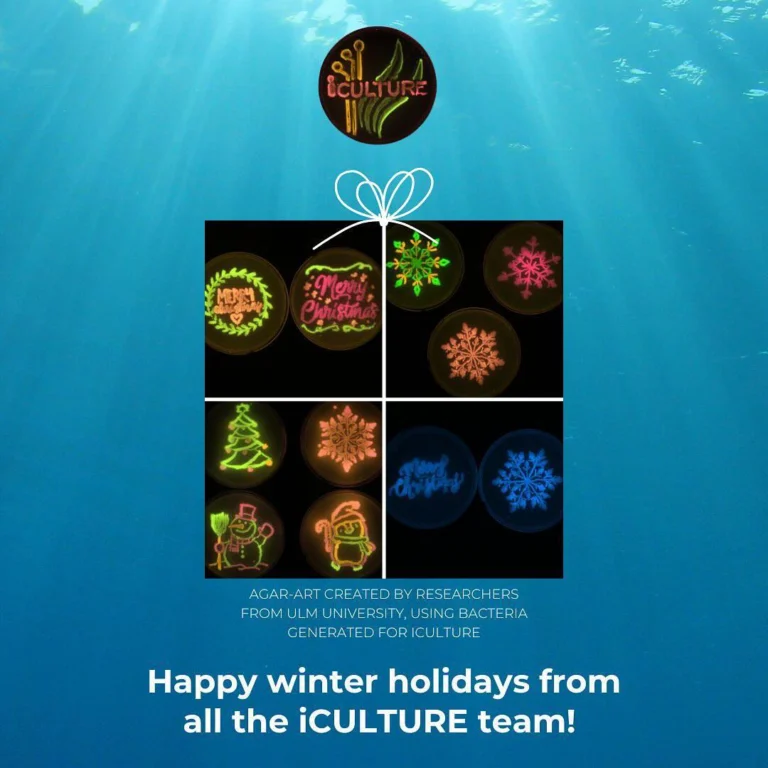 Instagram post from icultureproject. This post is in position 1.