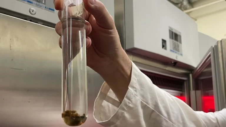 Instagram post from icultureproject. This post is in position 18.