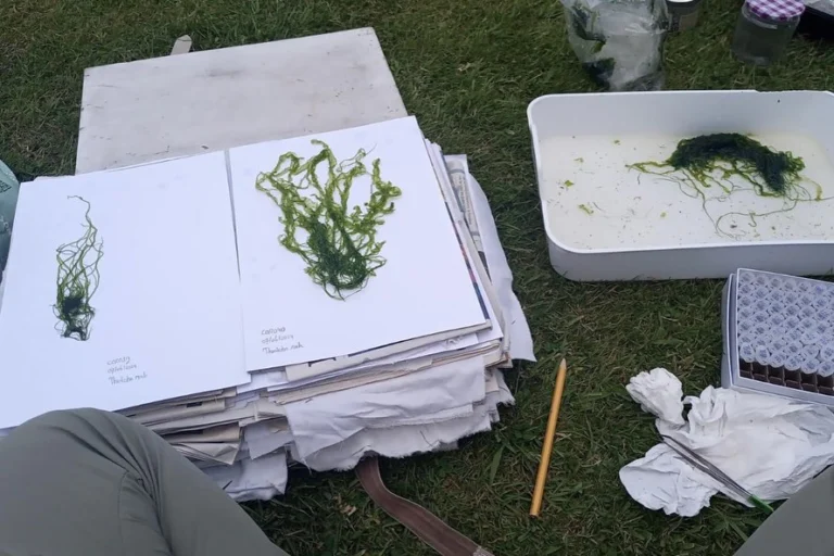 Instagram post from icultureproject. This post is in position 1.