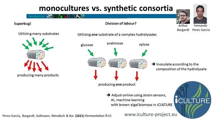 Instagram post from icultureproject. This post is in position 1.