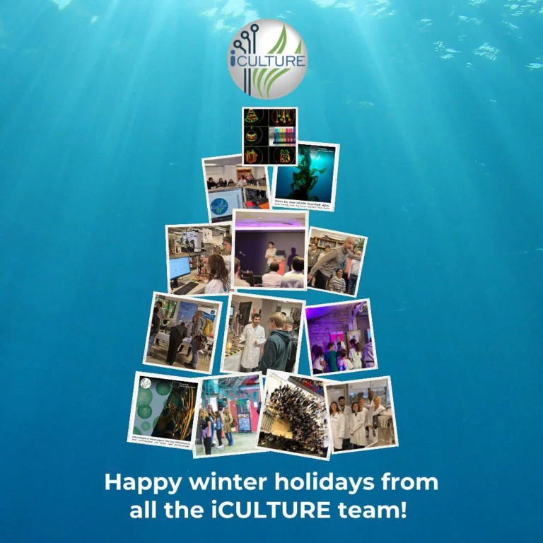 Instagram post from icultureproject. This post is in position 0.