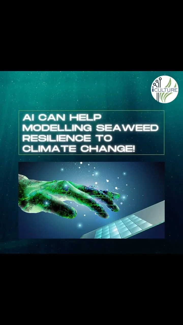 Instagram post from icultureproject. This post is in position 47.