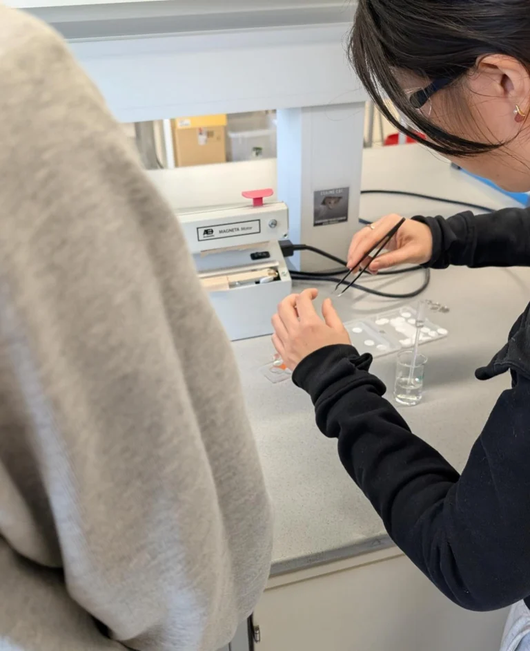 Instagram post from icultureproject. This post is in position 1.