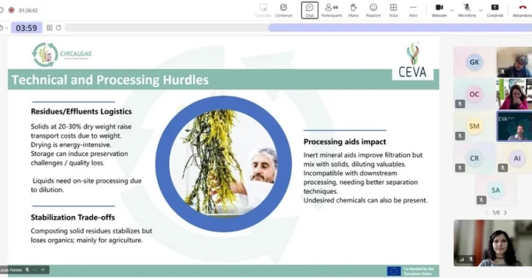 Instagram post from icultureproject. This post is in position 9.