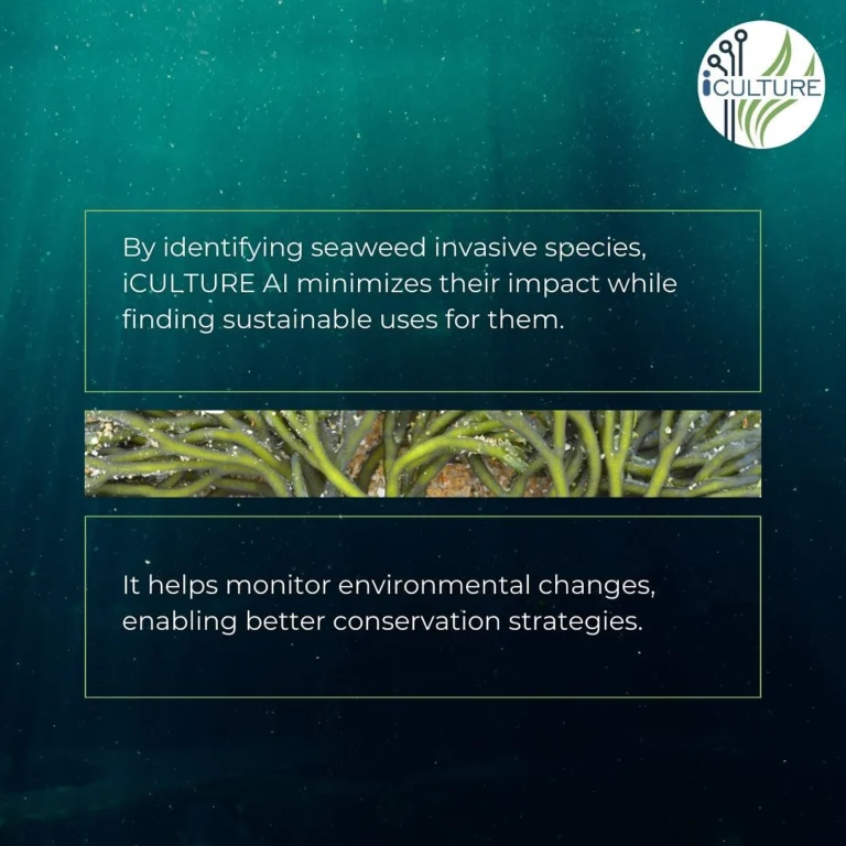 Instagram post from icultureproject. This post is in position 1.