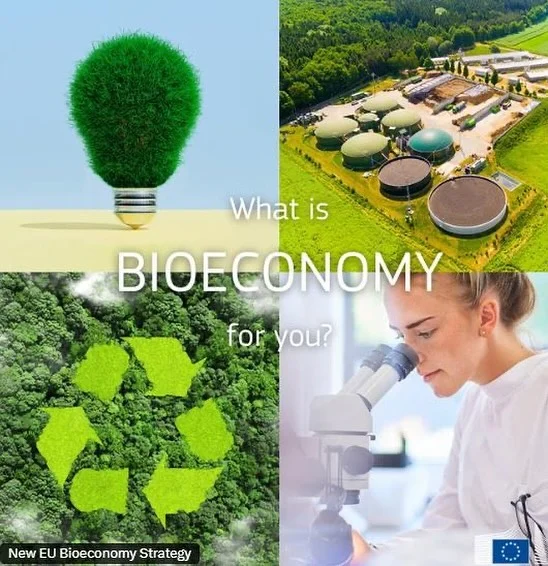 Instagram post from icultureproject. This post is in position 41.