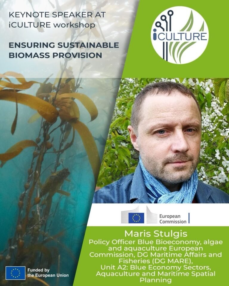 Instagram post from icultureproject. This post is in position 2.