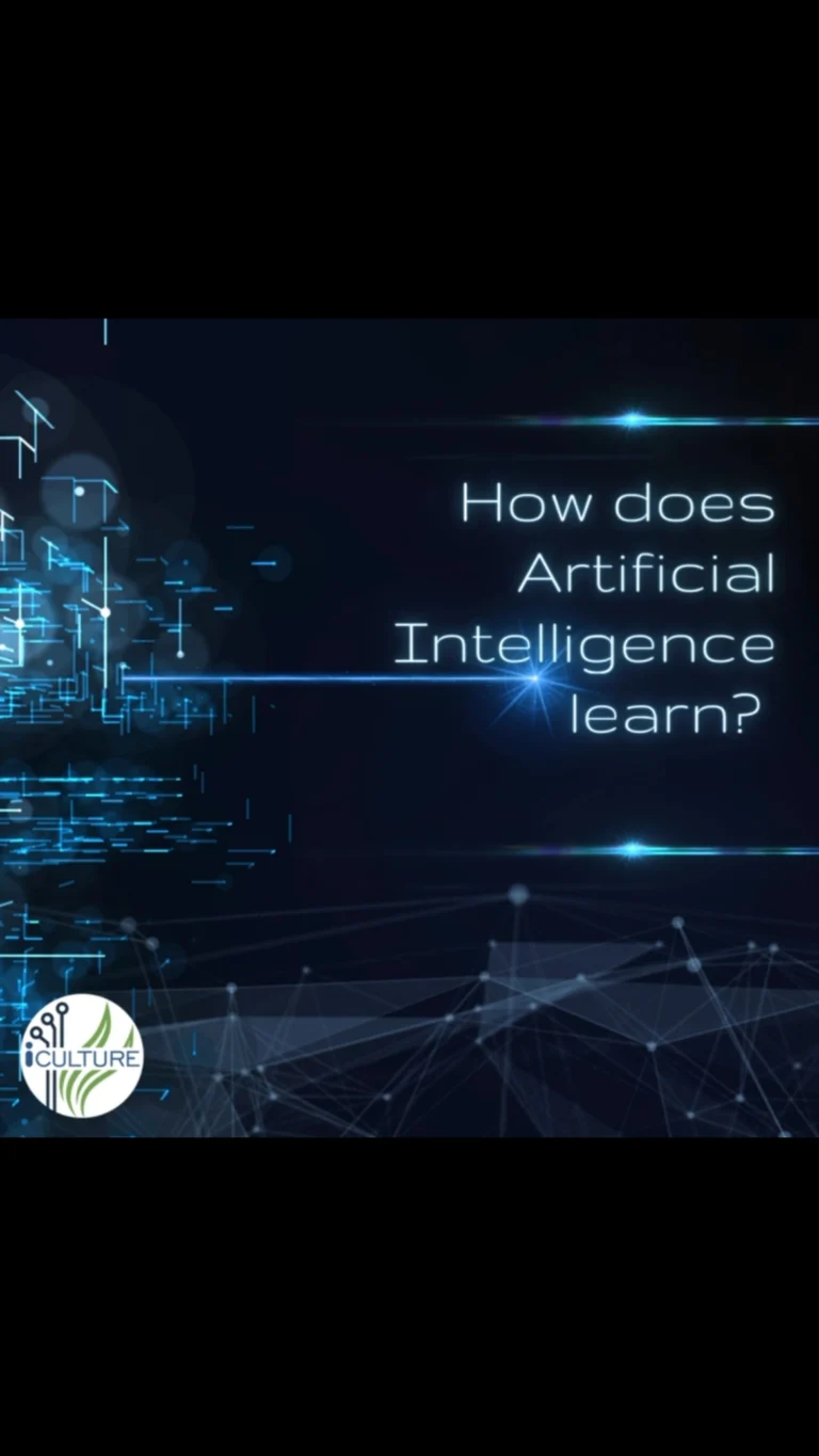 Instagram post from icultureproject. This post is in position 73.