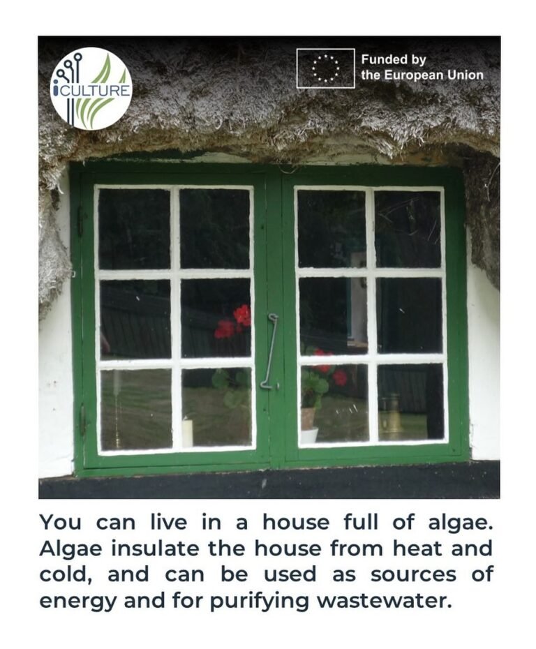 Instagram post from icultureproject. This post is in position 43.