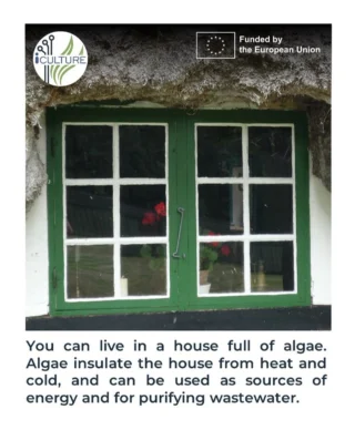 Instagram post from icultureproject. This post is in position 82.