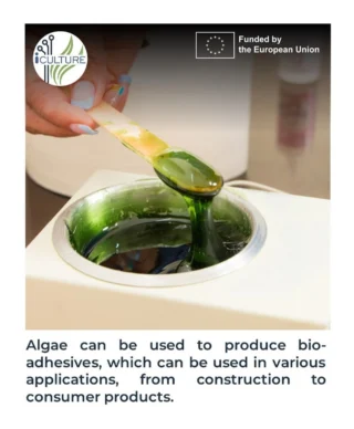 Instagram post from icultureproject. This post is in position 83.