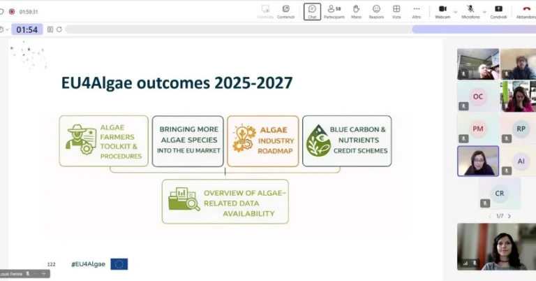 Instagram post from icultureproject. This post is in position 11.