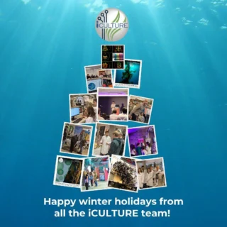 Instagram post from icultureproject. This post is in position 72.