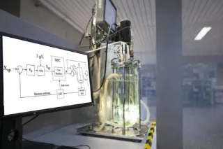 Instagram post from icultureproject. This post is in position 14.