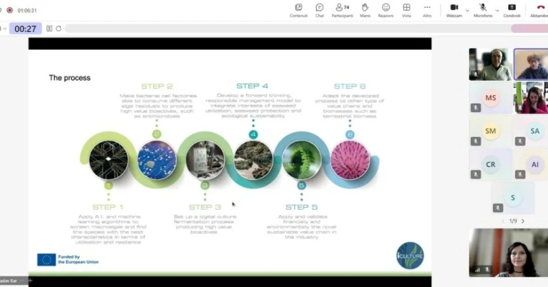 Instagram post from icultureproject. This post is in position 6.