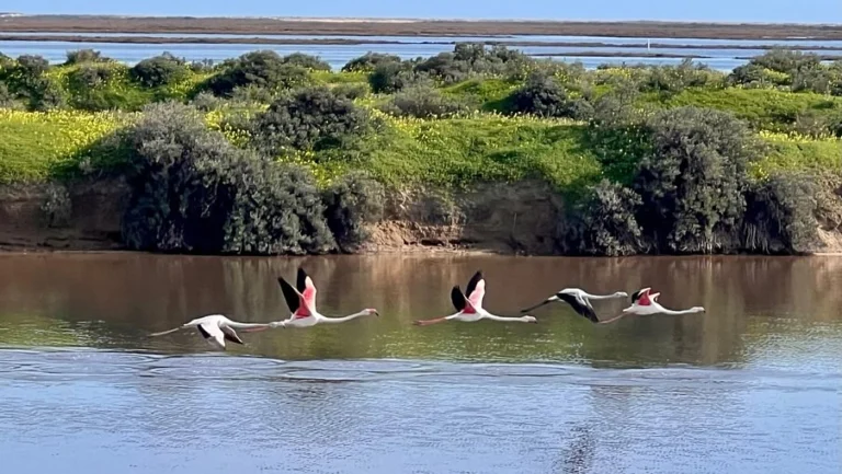 Instagram post from icultureproject. This post is in position 13.