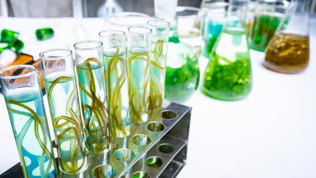 Instagram post from icultureproject. This post is in position 3.