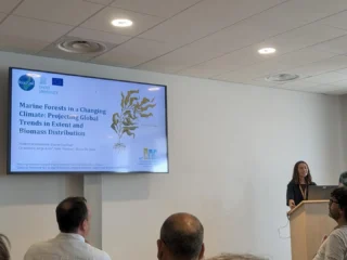 Instagram post from icultureproject. This post is in position 26.