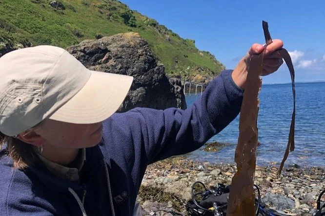 Instagram post from icultureproject. This post is in position 4.