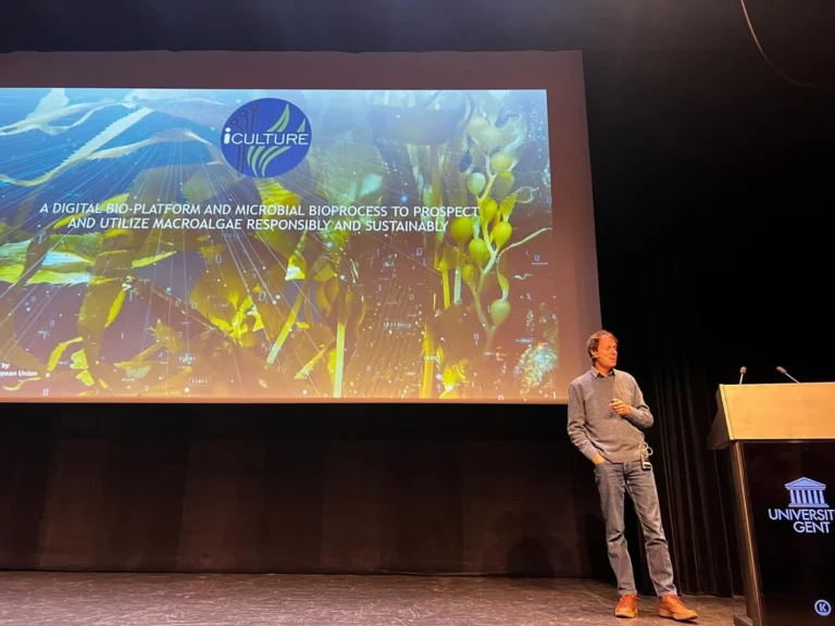 Instagram post from icultureproject. This post is in position 0.