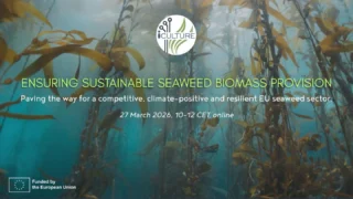 Instagram post from icultureproject. This post is in position 13.